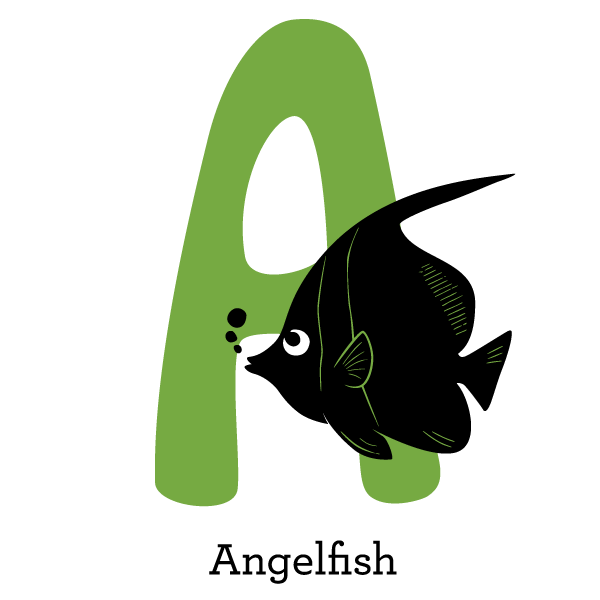 angelfish level