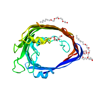 LibreTexts 3D model of protein 3d model of protein