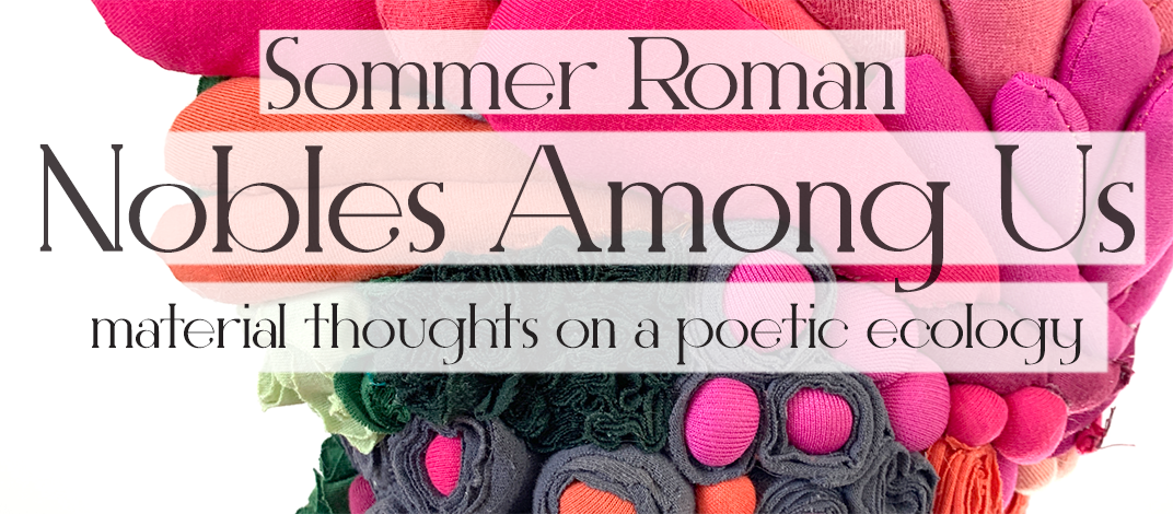 Sommer Roman Nobles Among Us poster