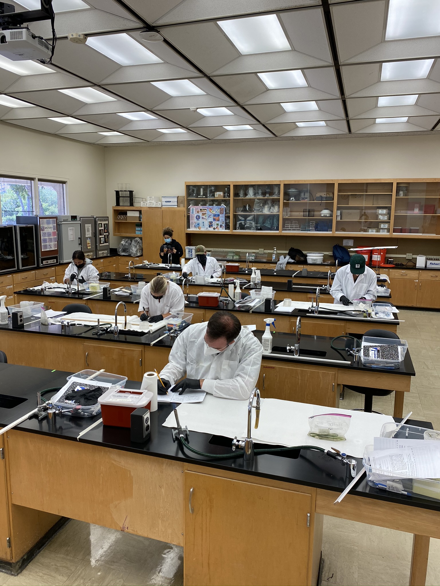 Bio 210M Pic1