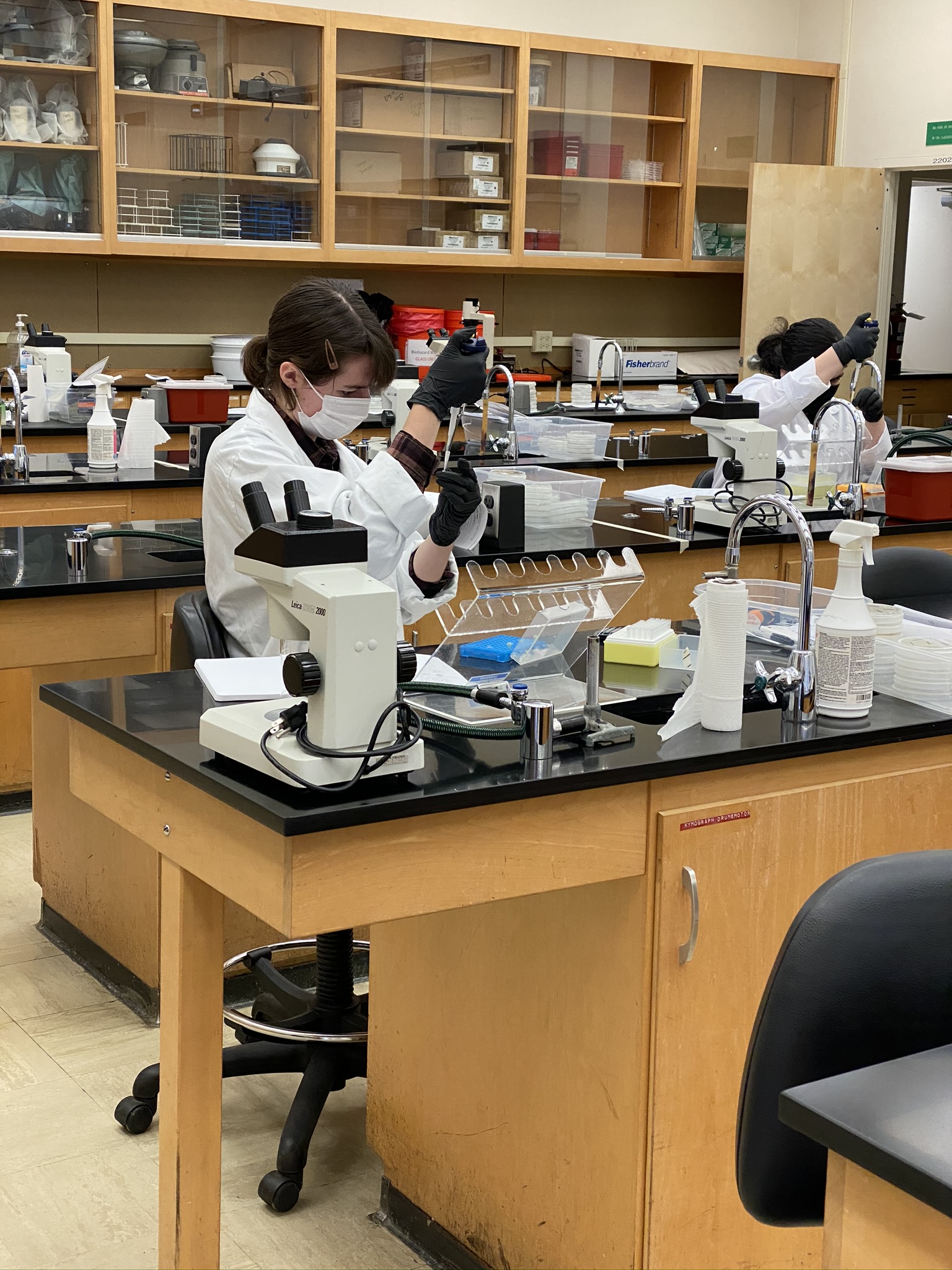 Bio 210M Pic2